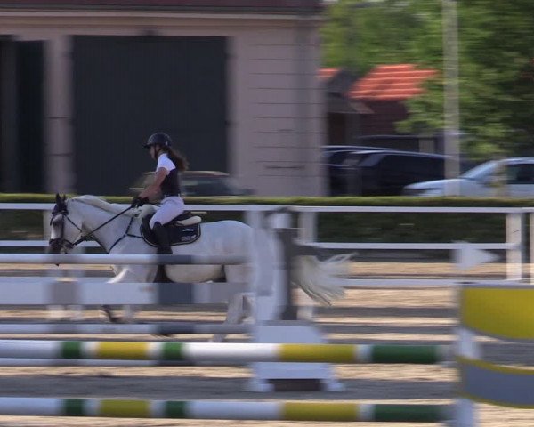 Reitturnier Neustadt/Dosse 2022