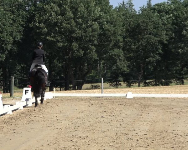 Reitturnier Wohlesbostel 2022