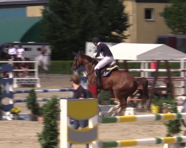 Reitturnier Neustadt/Dosse 2022