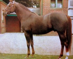 stallion Ballymoss xx (Thoroughbred, 1954, from Mossborough xx)