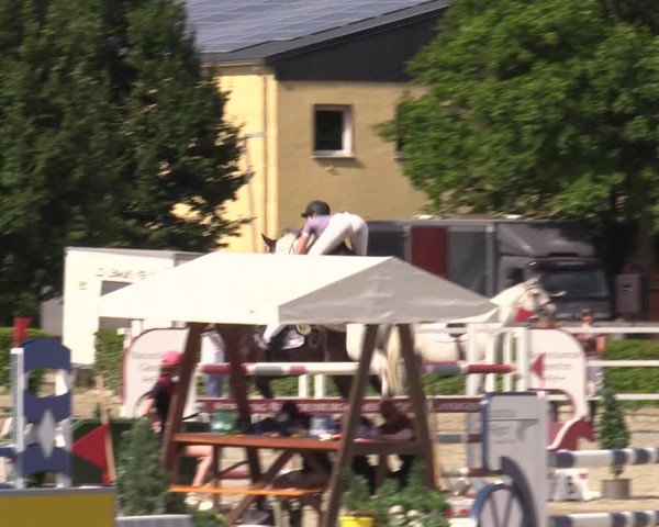 Reitturnier Neustadt/Dosse 2022