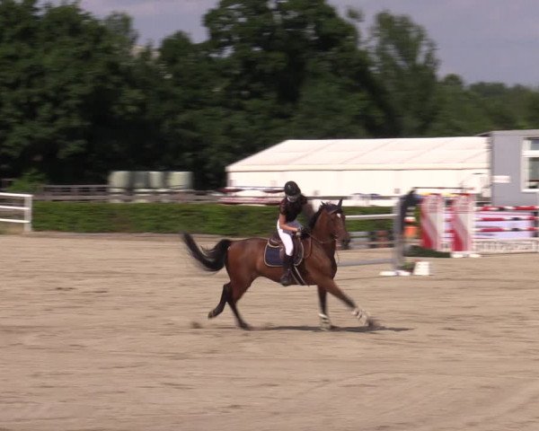 Reitturnier Neustadt/Dosse 2022