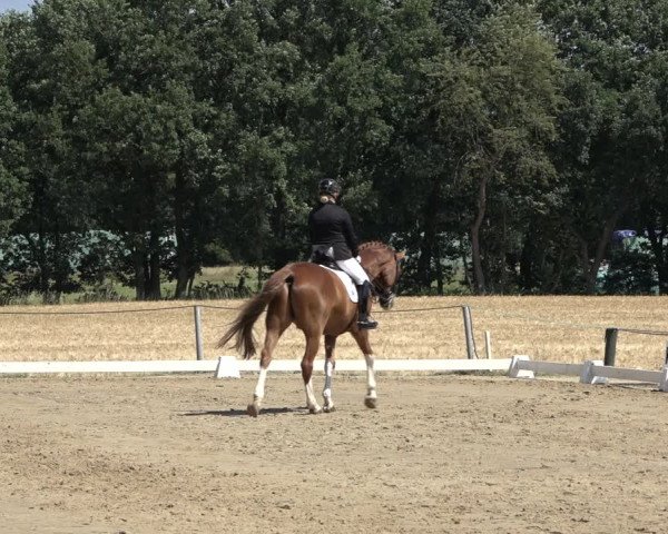 Reitturnier Wohlesbostel 2022