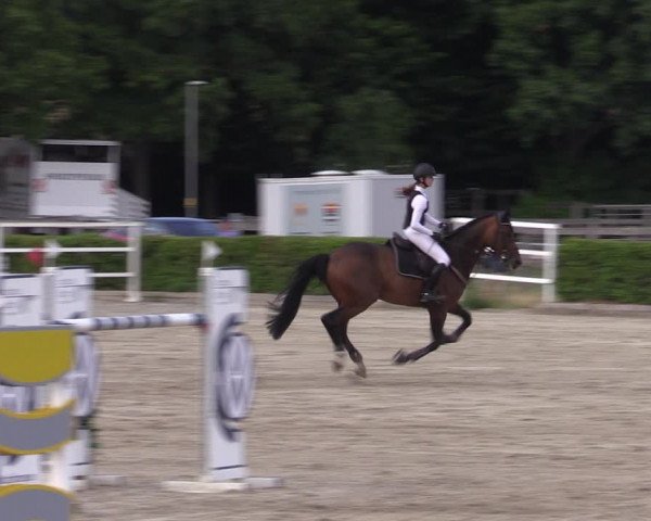 Reitturnier Neustadt/Dosse 2022