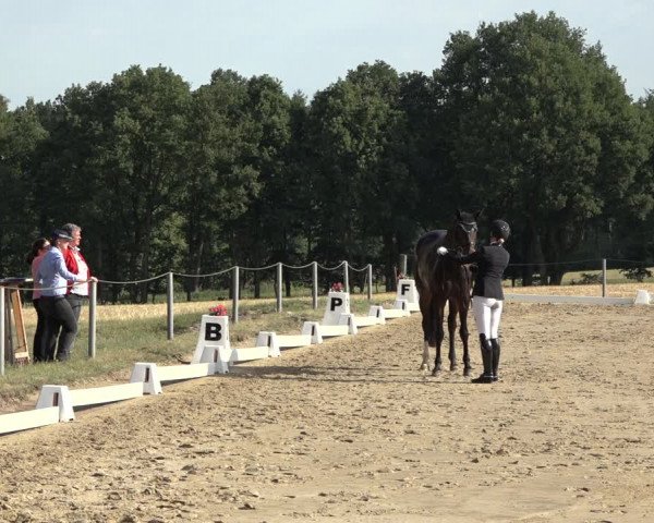 Reitturnier Wohlesbostel 2022