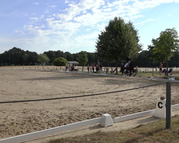 Reitturnier Wohlesbostel 2022