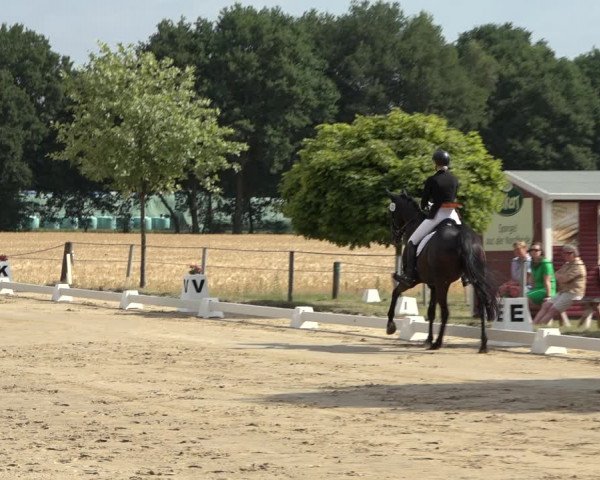 Reitturnier Wohlesbostel 2022
