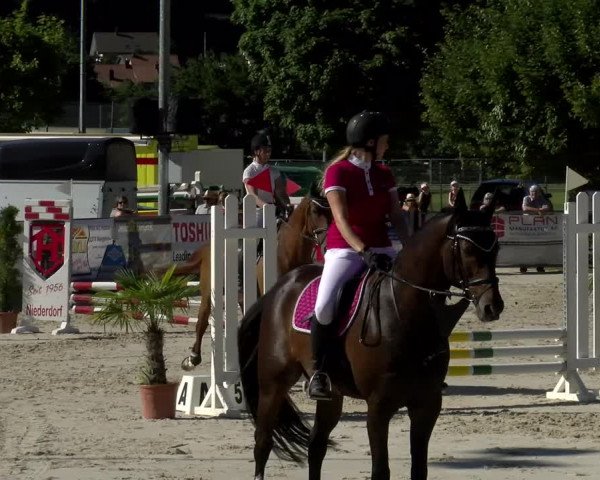 Reitturnier Balsthal 2022