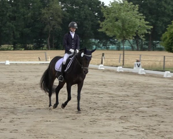Reitturnier Wohlesbostel 2022
