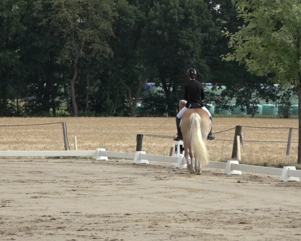 Reitturnier Wohlesbostel 2022