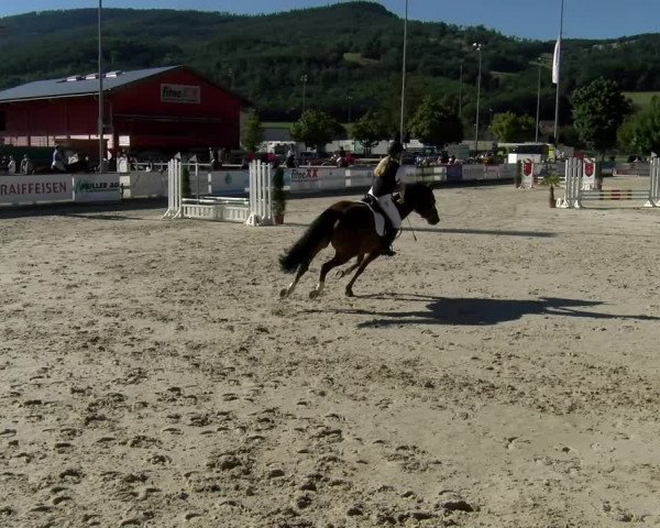 Reitturnier Balsthal 2022