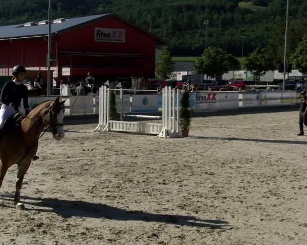 Reitturnier Balsthal 2022
