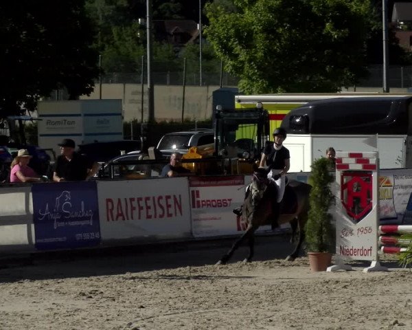 Reitturnier Balsthal 2022