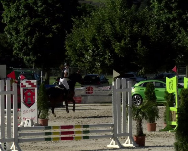 Reitturnier Balsthal 2022