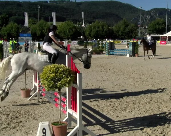 Reitturnier Balsthal 2022