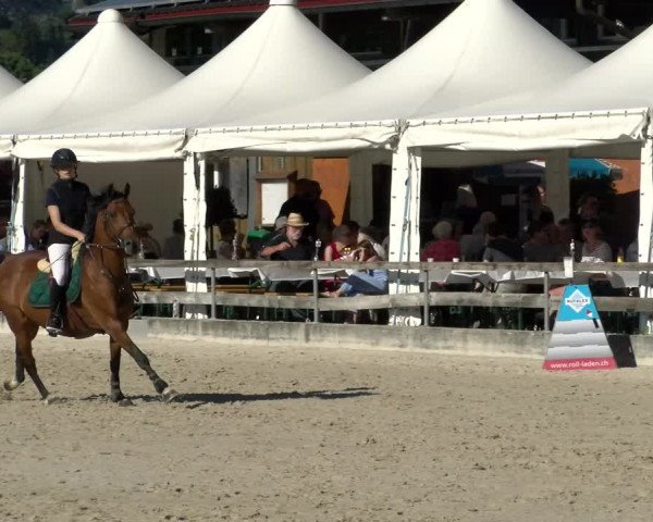 Reitturnier Balsthal 2022