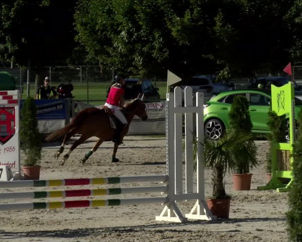 Reitturnier Balsthal 2022