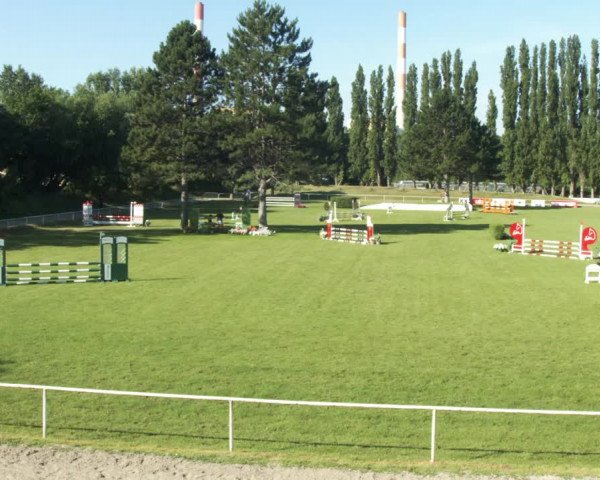 Reitturnier W, Wien-Freudenau/ASKÖ 2022