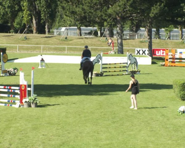 Reitturnier W, Wien-Freudenau/ASKÖ 2022