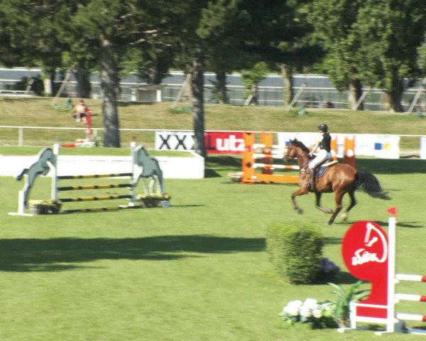 Reitturnier W, Wien-Freudenau/ASKÖ 2022