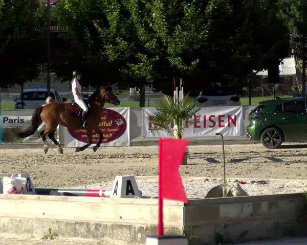 Reitturnier Balsthal 2022