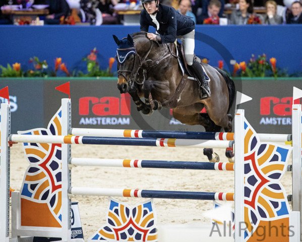 jumper El-Gore-Go (KWPN (Royal Dutch Sporthorse), 2009, from Namelus R)