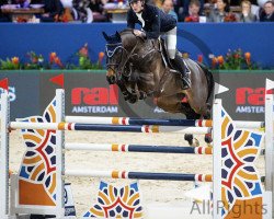 jumper El-Gore-Go (KWPN (Royal Dutch Sporthorse), 2009, from Namelus R)