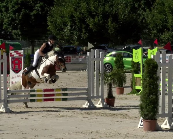 Reitturnier Balsthal 2022
