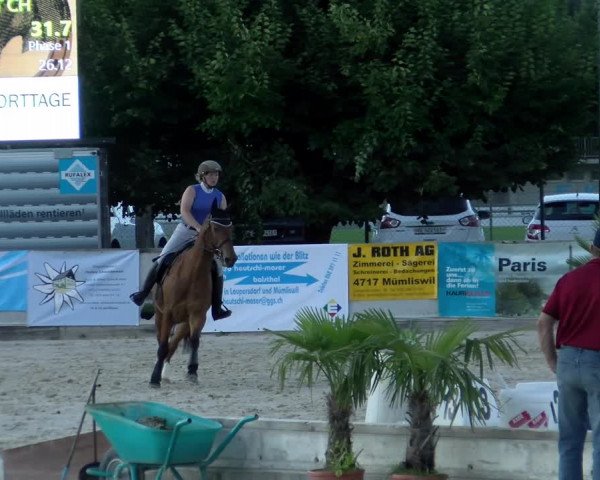 Reitturnier Balsthal 2022
