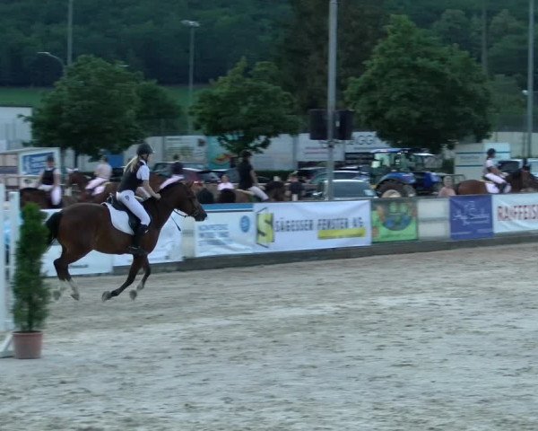 Reitturnier Balsthal 2022