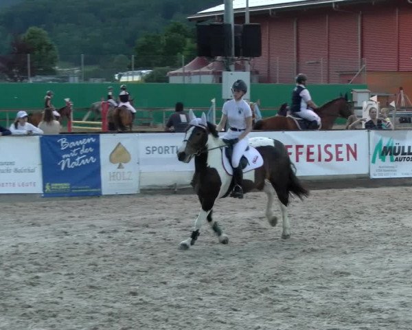 Reitturnier Balsthal 2022