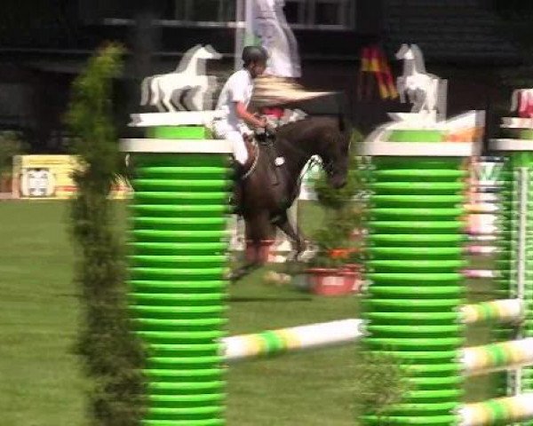 Springpferd Udarko (Westfale, 2008, von Ustinov)