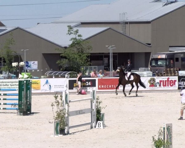 Reitturnier Gossau 2022