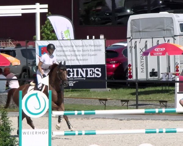 Reitturnier Gossau 2022