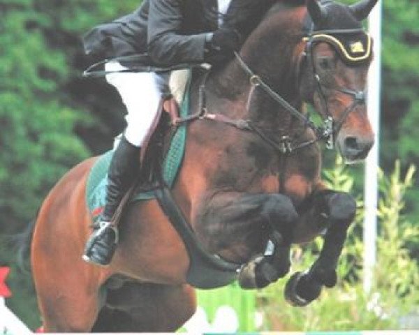 stallion Late Night (Rhinelander, 1999, from Lancer II)