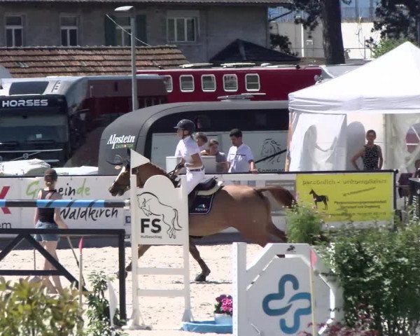 Reitturnier Gossau 2022