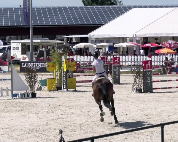 Reitturnier Gossau 2022
