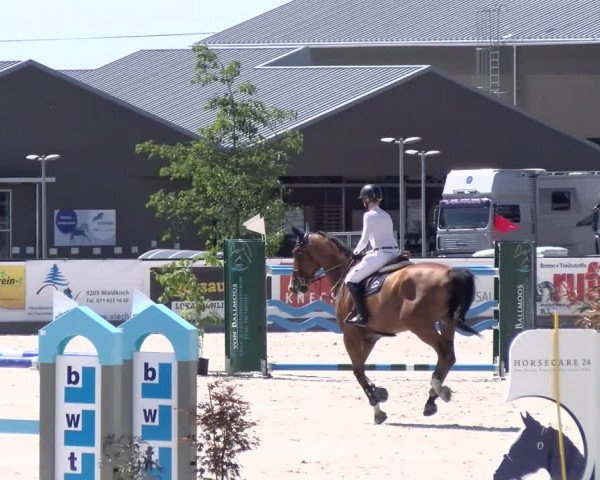 Reitturnier Gossau 2022