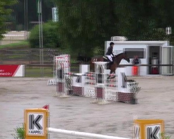 jumper Landor 51 (Swiss Warmblood, 2004, from Landjuweel St Hubert)