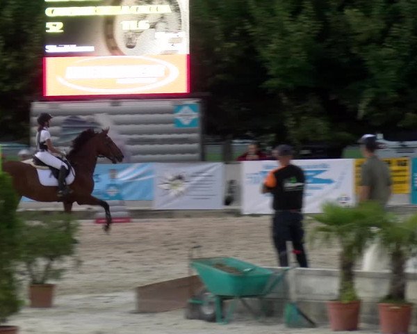 Reitturnier Balsthal 2022