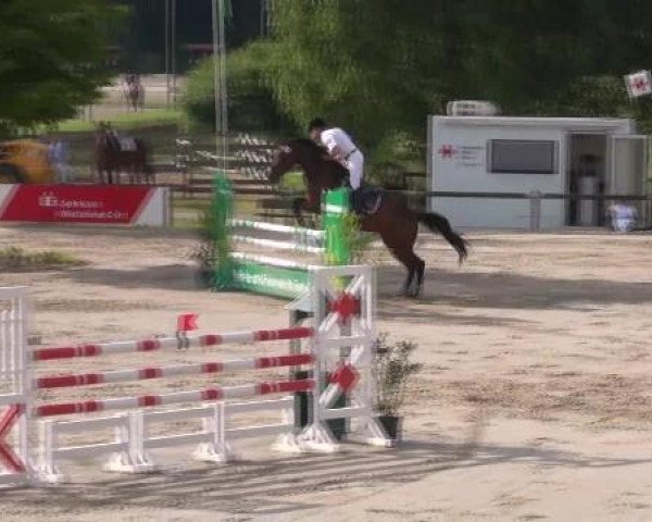 jumper Risiko 44 (Oldenburg, 1997, from Ramino)
