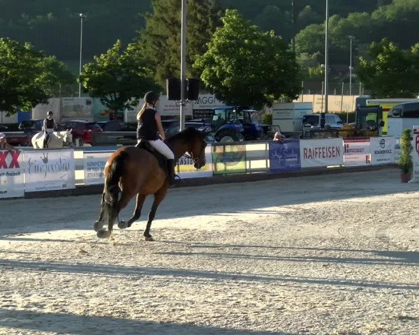 Reitturnier Balsthal 2022