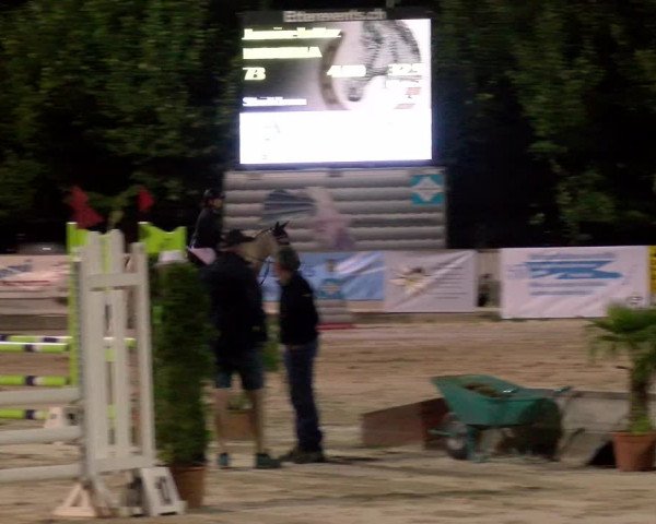 Reitturnier Balsthal 2022