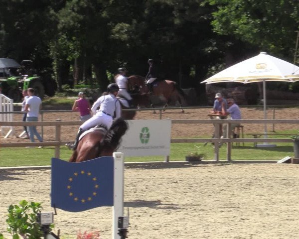 Reitturnier Barlo-Bocholt 2022