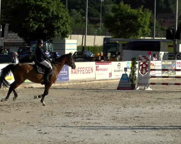 Reitturnier Balsthal 2022