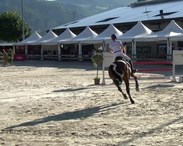 Reitturnier Balsthal 2022