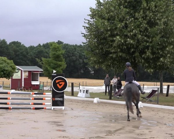 Reitturnier Wohlesbostel 2022