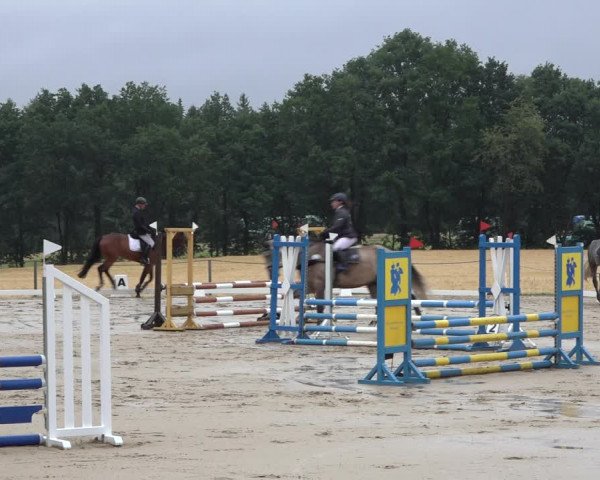 Reitturnier Wohlesbostel 2022