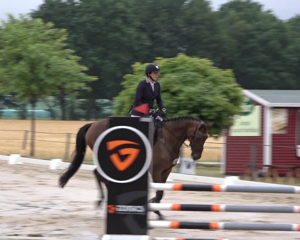 Reitturnier Wohlesbostel 2022