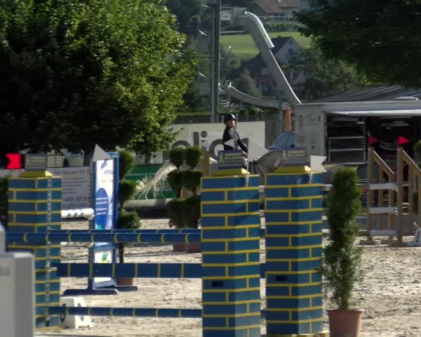 Reitturnier Balsthal 2022